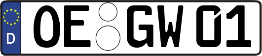 OE-GW01