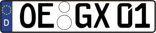 OE-GX01