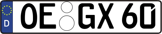 OE-GX60