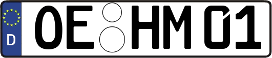 OE-HM01