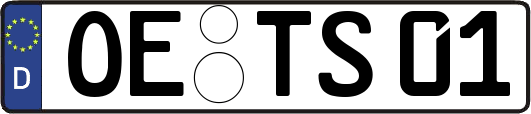 OE-TS01