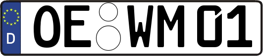 OE-WM01