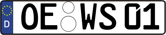 OE-WS01