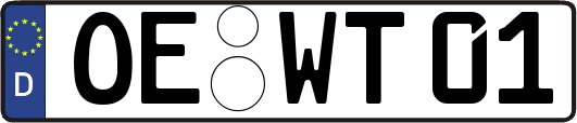 OE-WT01