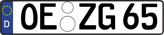 OE-ZG65