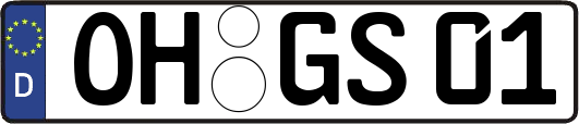 OH-GS01