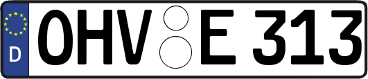 OHV-E313