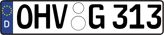 OHV-G313