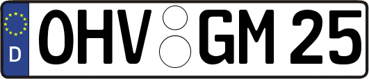 OHV-GM25