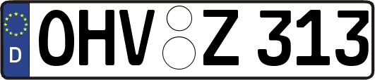 OHV-Z313