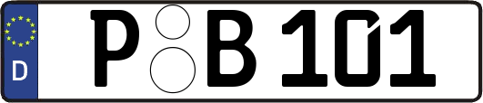 P-B101