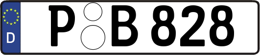 P-B828