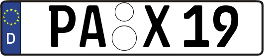 PA-X19