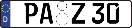 PA-Z30