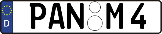 PAN-M4