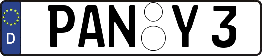 PAN-Y3