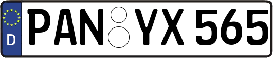 PAN-YX565