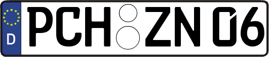 PCH-ZN06