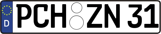 PCH-ZN31