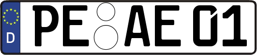 PE-AE01