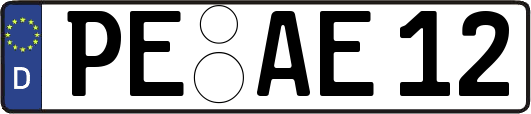 PE-AE12