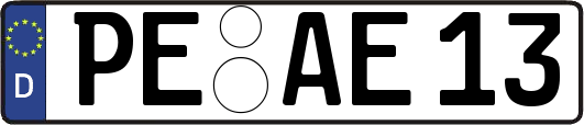PE-AE13