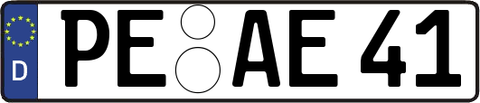 PE-AE41
