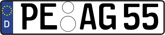 PE-AG55