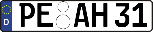 PE-AH31