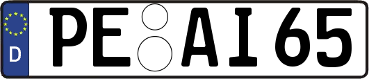 PE-AI65