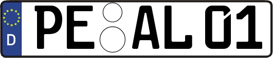 PE-AL01