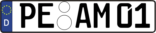PE-AM01