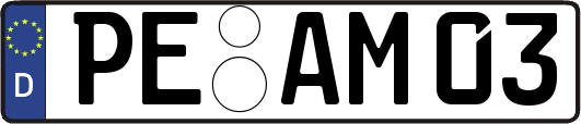 PE-AM03