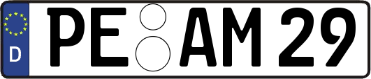 PE-AM29