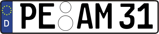 PE-AM31