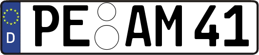 PE-AM41