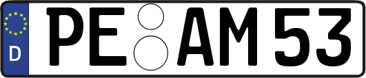 PE-AM53