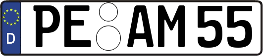 PE-AM55
