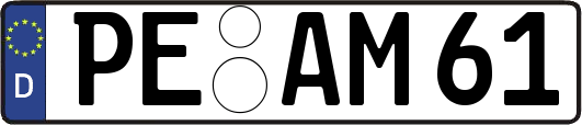 PE-AM61