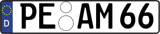 PE-AM66
