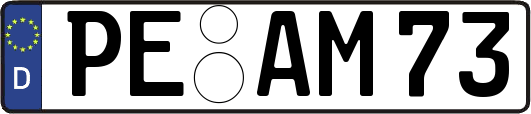 PE-AM73