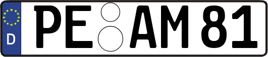 PE-AM81