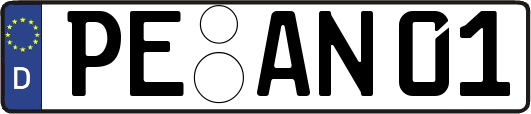 PE-AN01