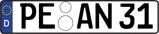 PE-AN31