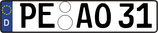 PE-AO31