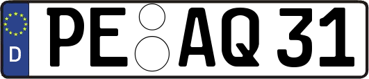 PE-AQ31