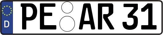 PE-AR31