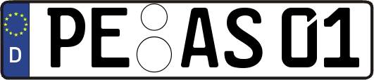 PE-AS01