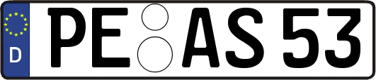 PE-AS53