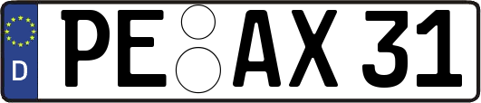PE-AX31